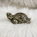 Pyrite Tortoise